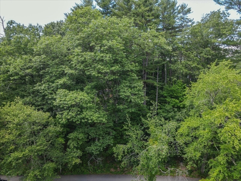 9 Georgia Rd Property Photo 15