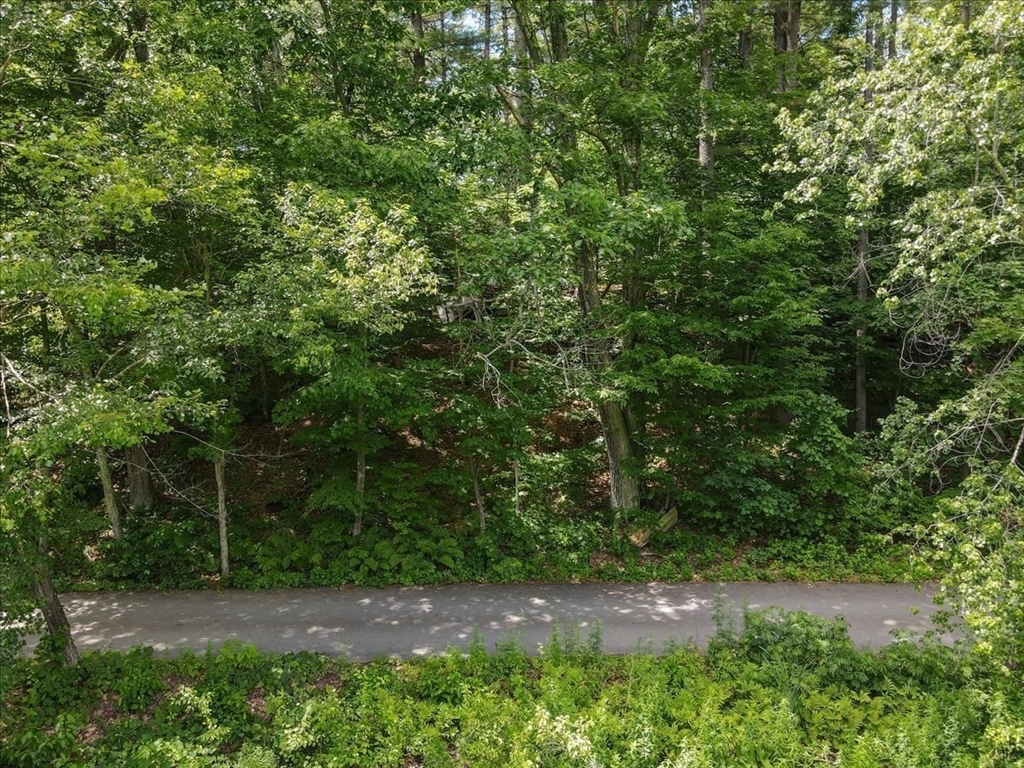 9 Georgia Rd Property Photo 17