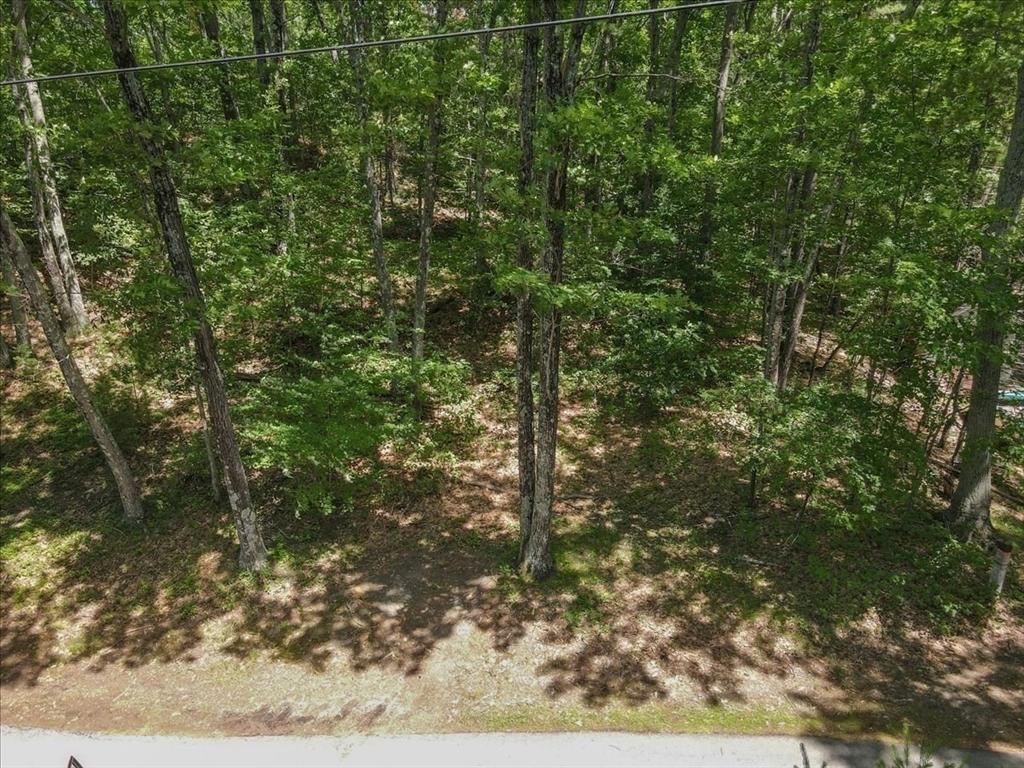 9 Georgia Rd Property Photo 18