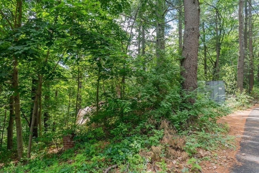 9 Georgia Rd Property Photo 19