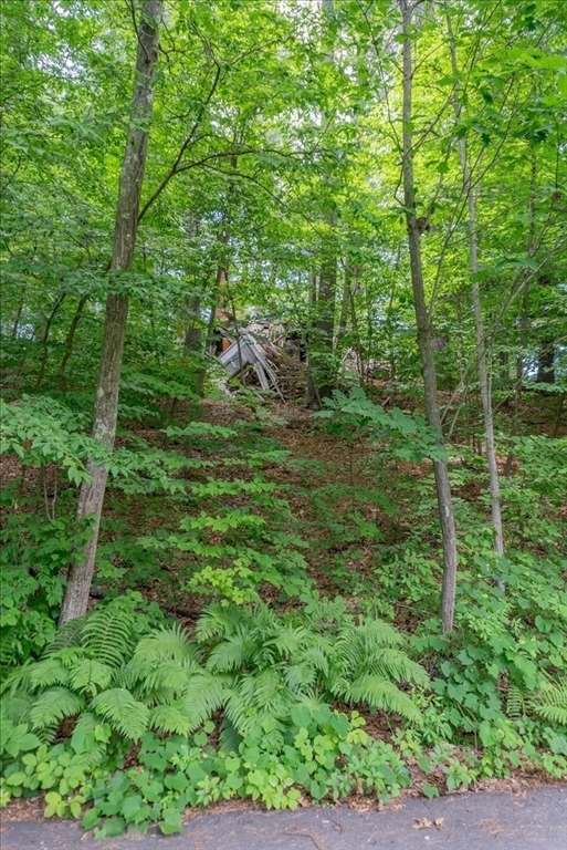 9 Georgia Rd Property Photo 20