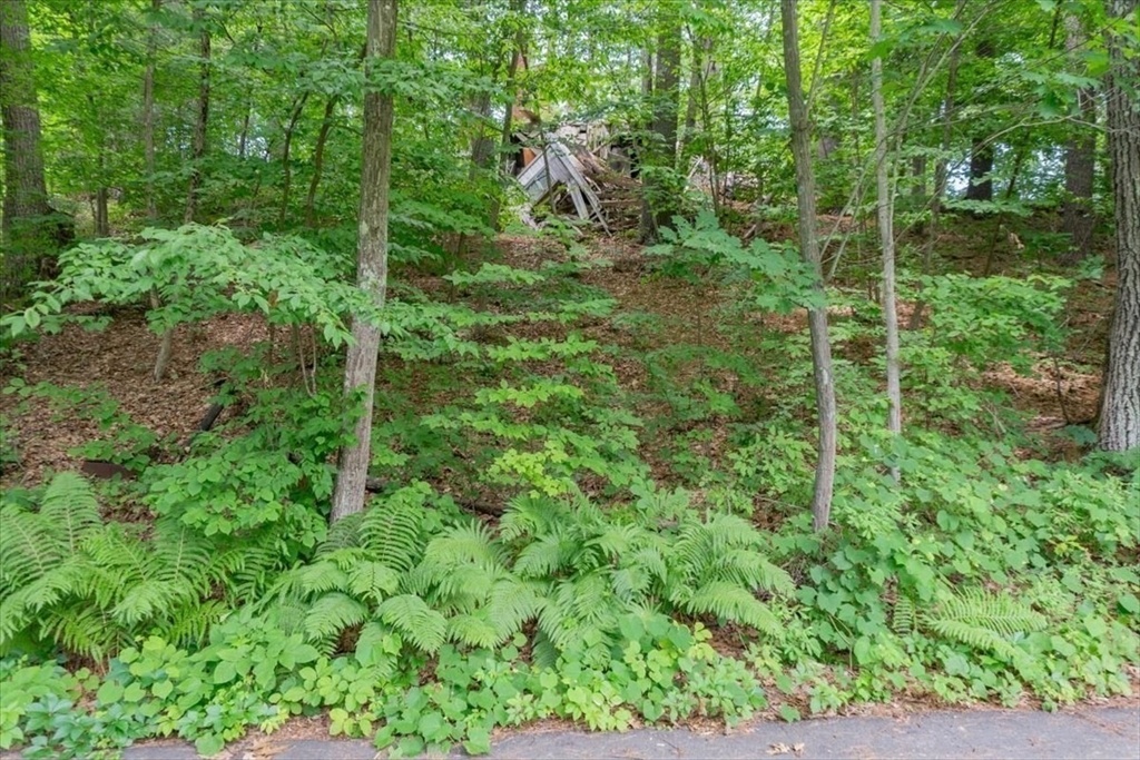 9 Georgia Rd Property Photo 21