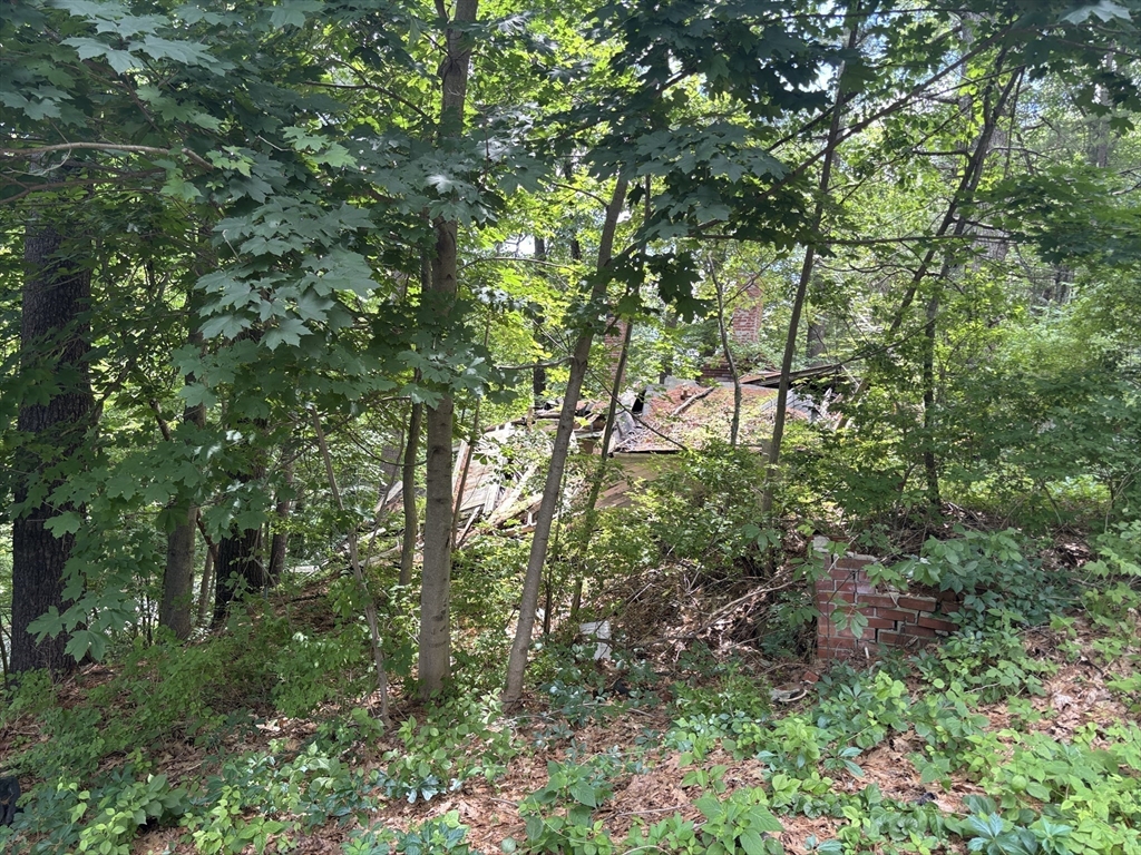 9 Georgia Rd Property Photo 23