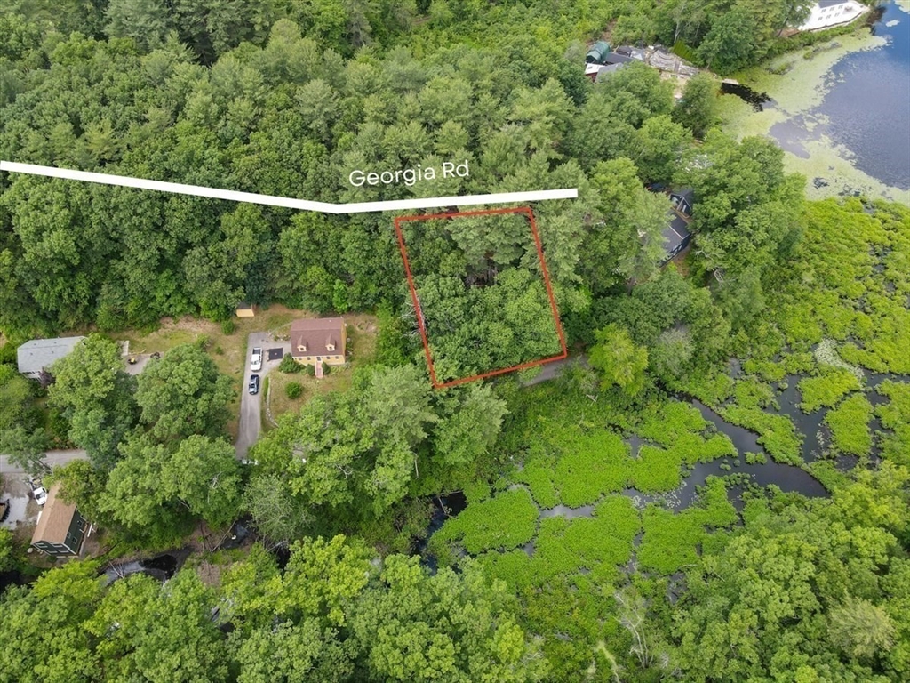 9 Georgia Rd Property Photo 27