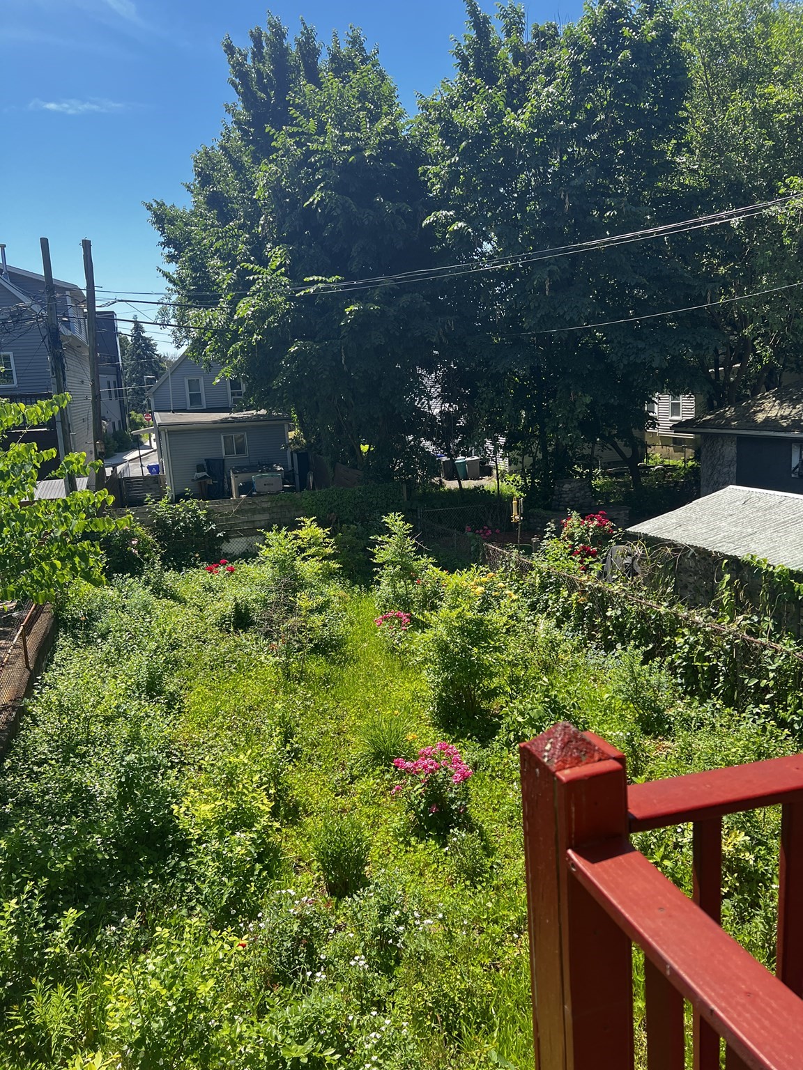 551 Bennington St Property Photo 22
