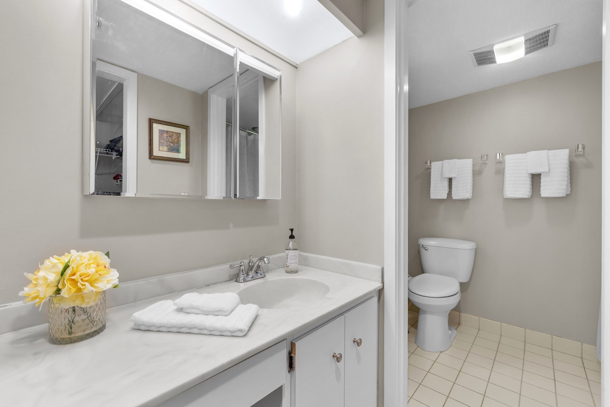 20 Mill Pond # 20 Property Photo 19