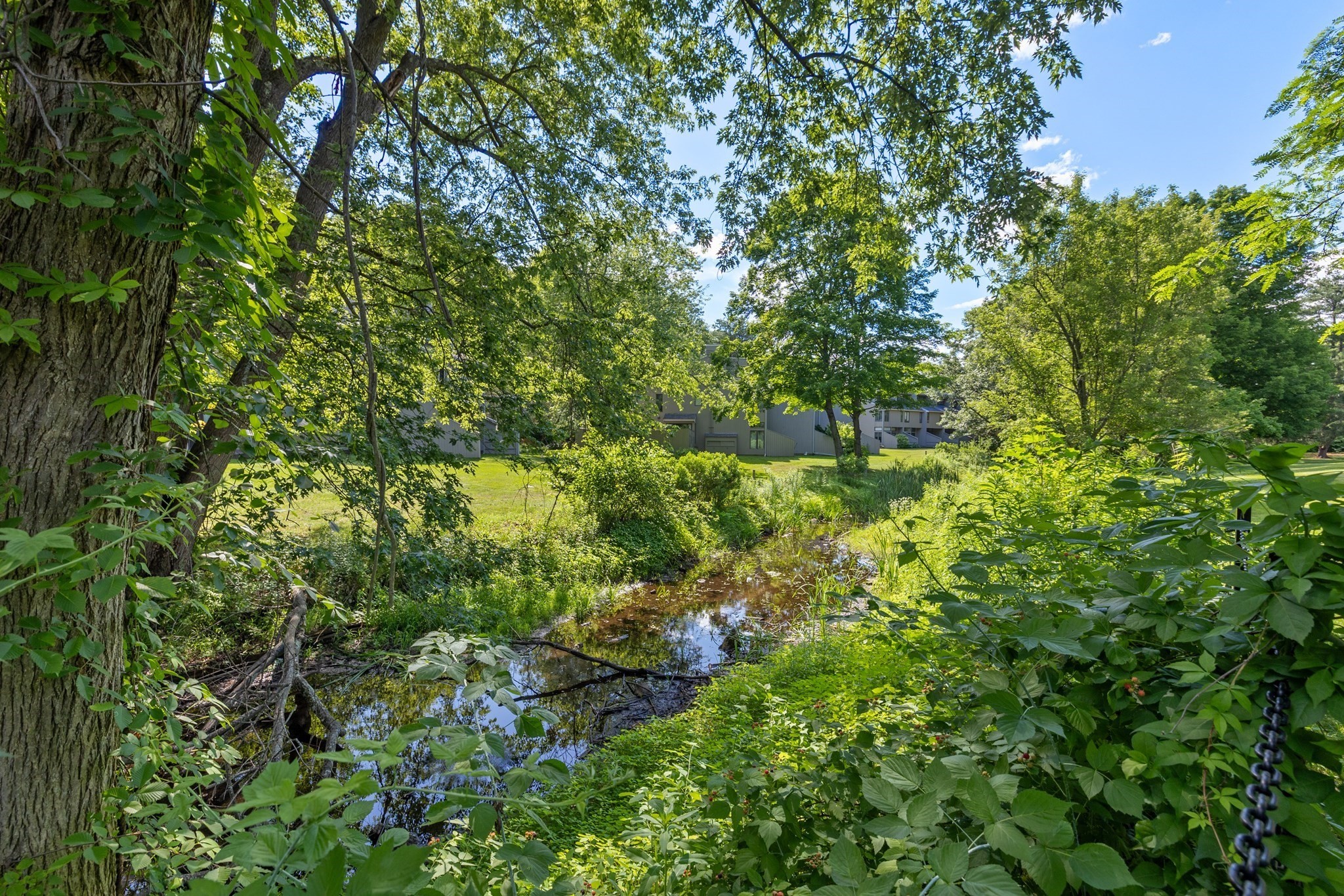 20 Mill Pond # 20 Property Photo 29