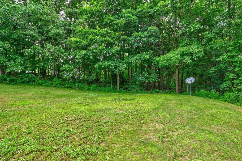 499 Ware Corner Rd Property Photo 7