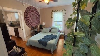 22 Howard Property Photo 22