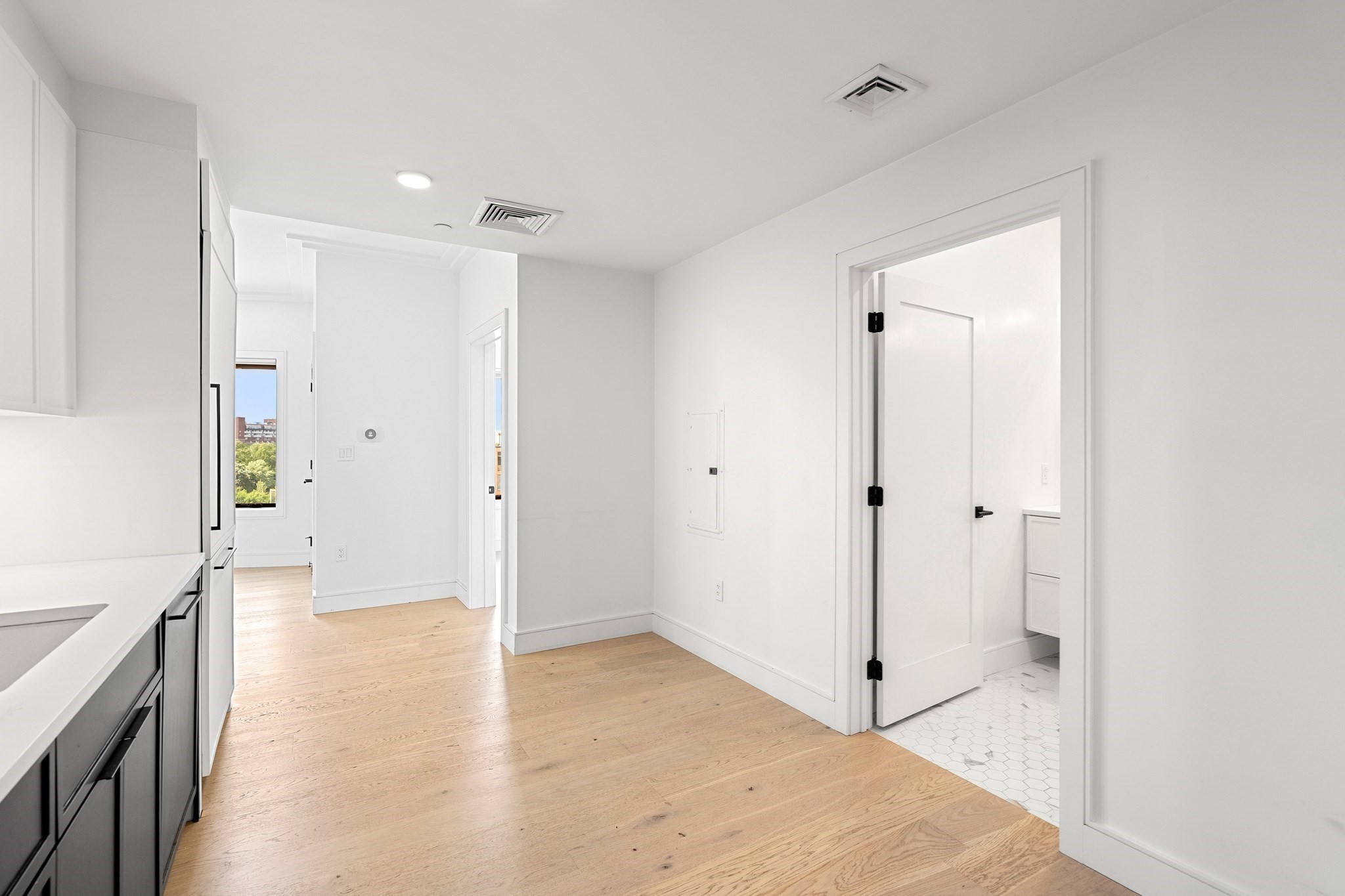 50 Leo M Birmingham # 503 Property Photo 6