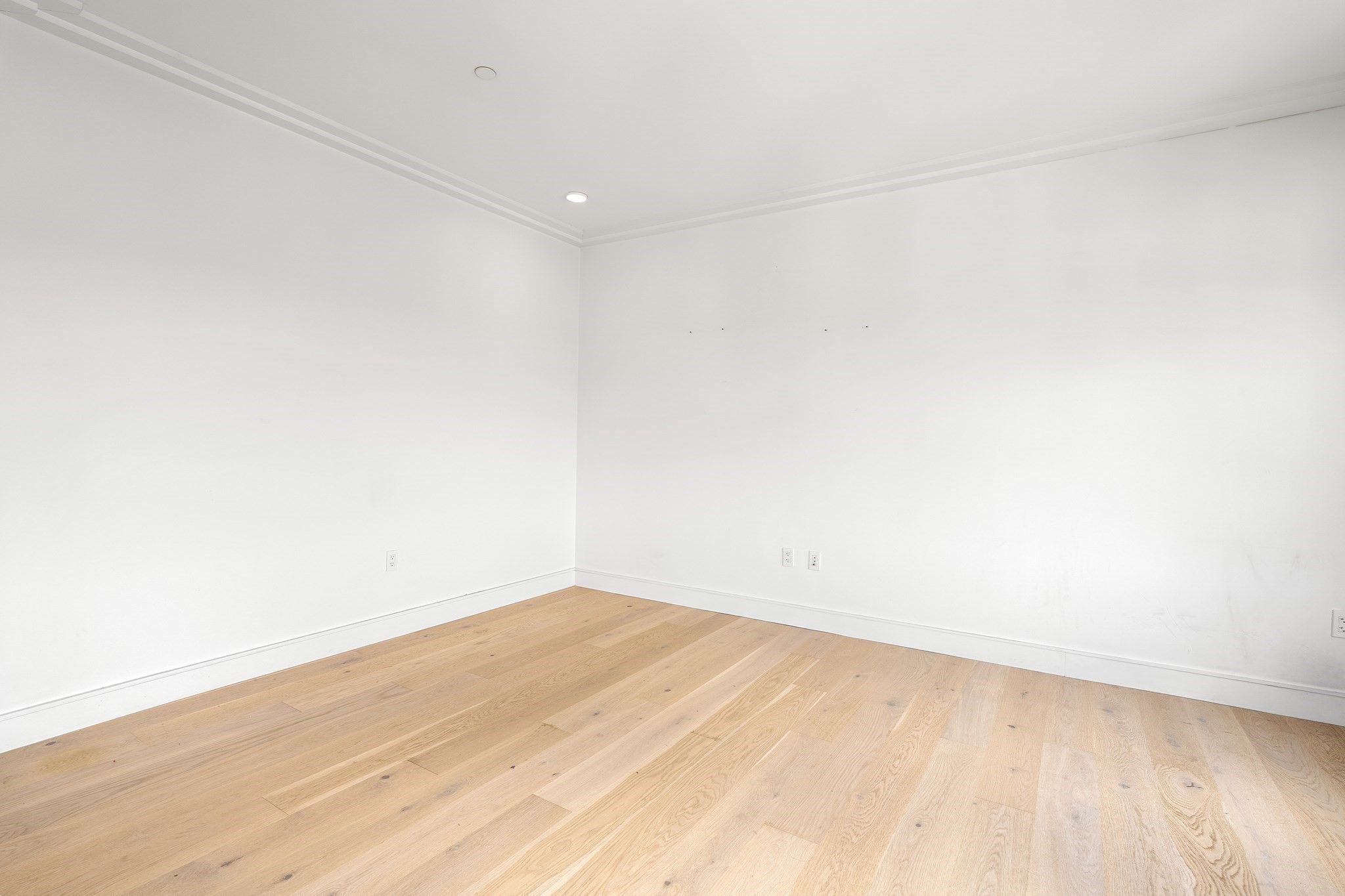 50 Leo M Birmingham # 503 Property Photo 12