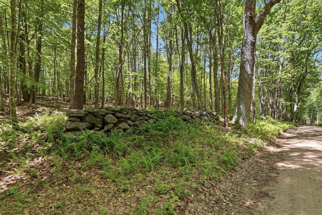 0 Carter Pond Road Property Photo 4