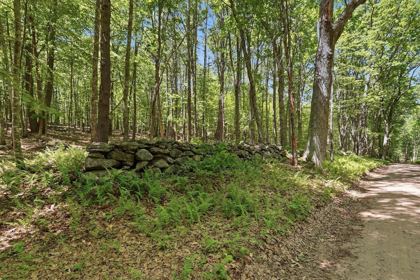 0 Carter Pond Road Property Photo 4