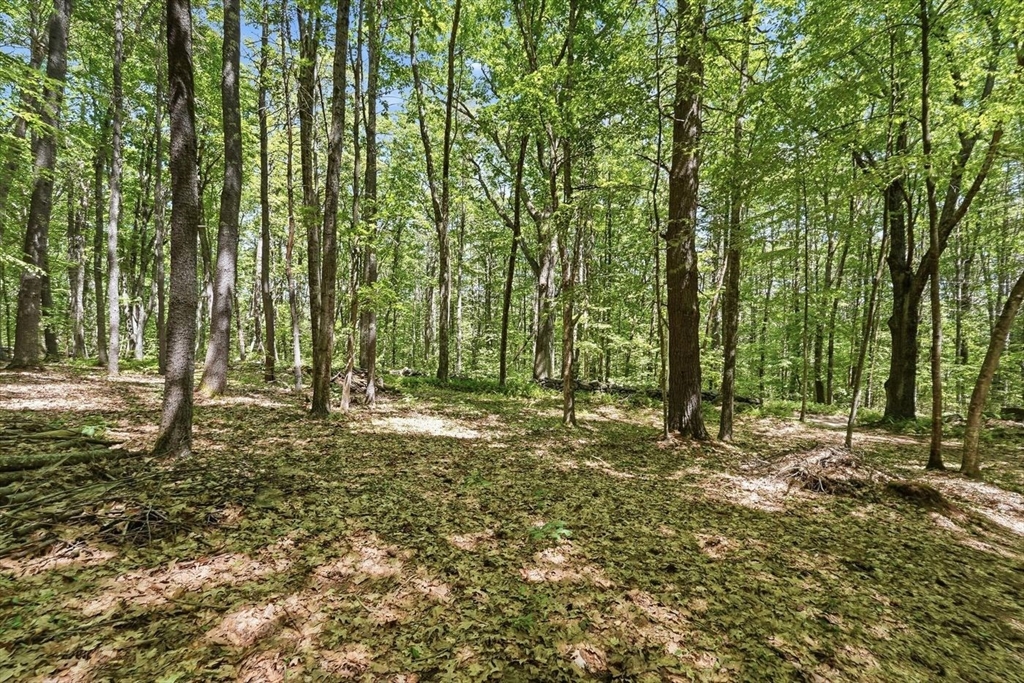0 Carter Pond Road Property Photo 10