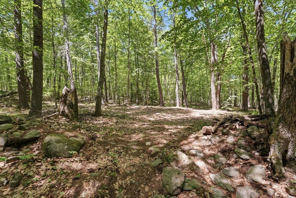 0 Carter Pond Road Property Photo 11