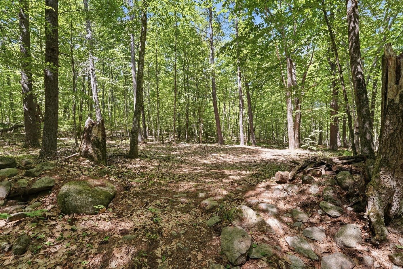 0 Carter Pond Road Property Photo 11