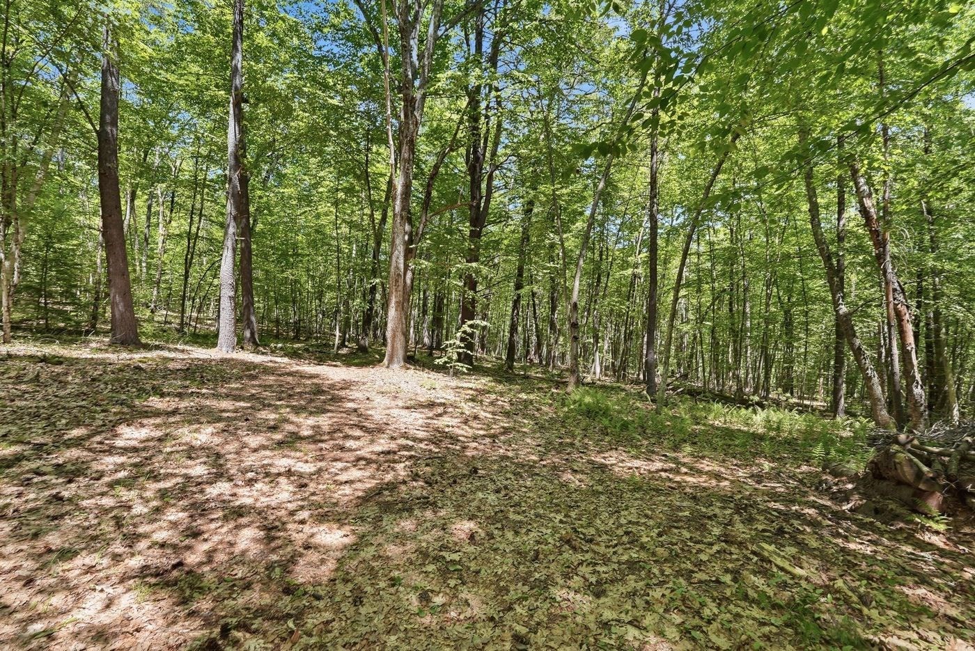 0 Carter Pond Road Property Photo 12