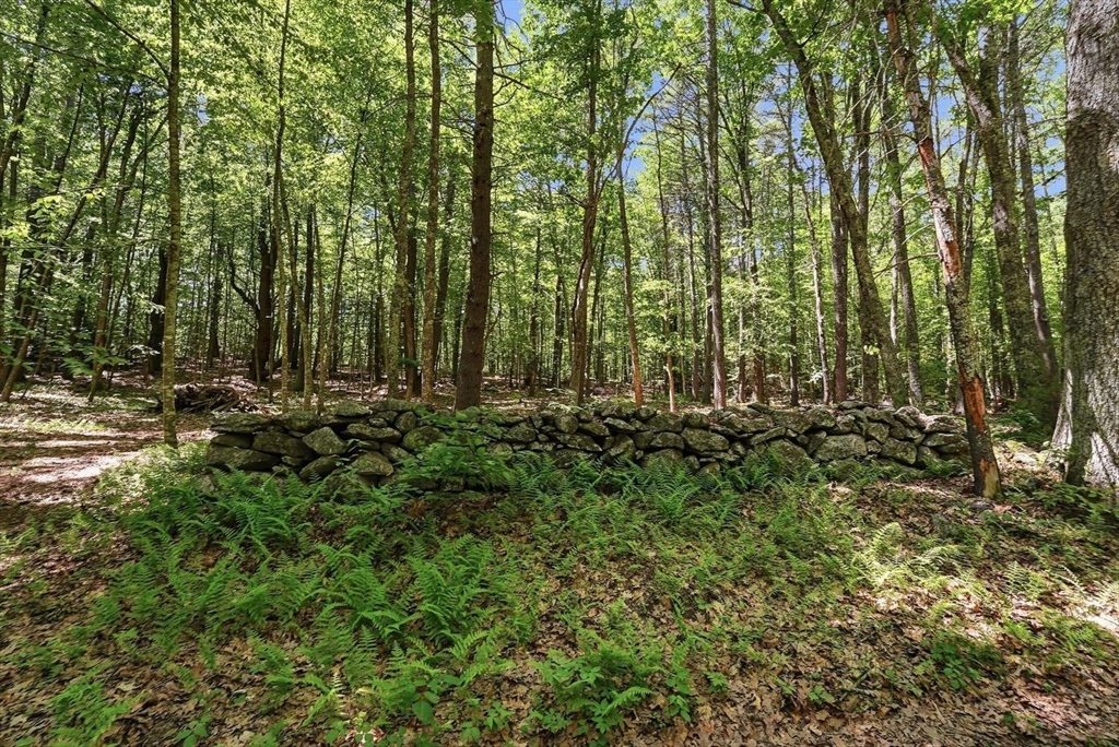 0 Carter Pond Road Property Photo 13
