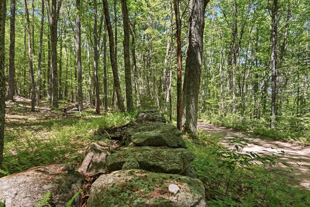 0 Carter Pond Road Property Photo 14