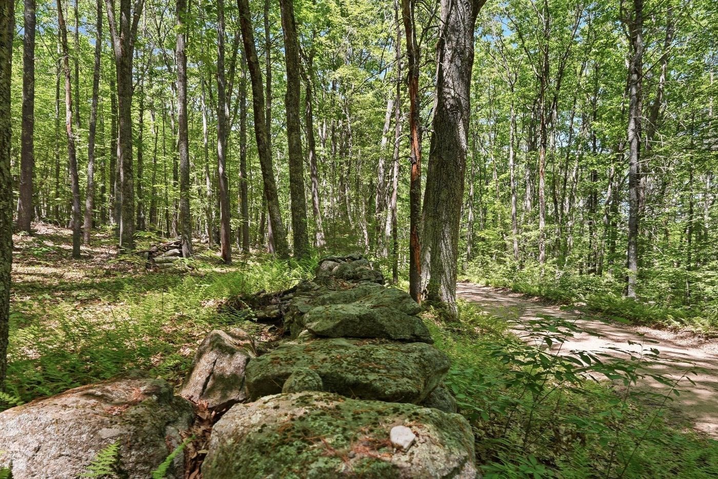 0 Carter Pond Road Property Photo 14