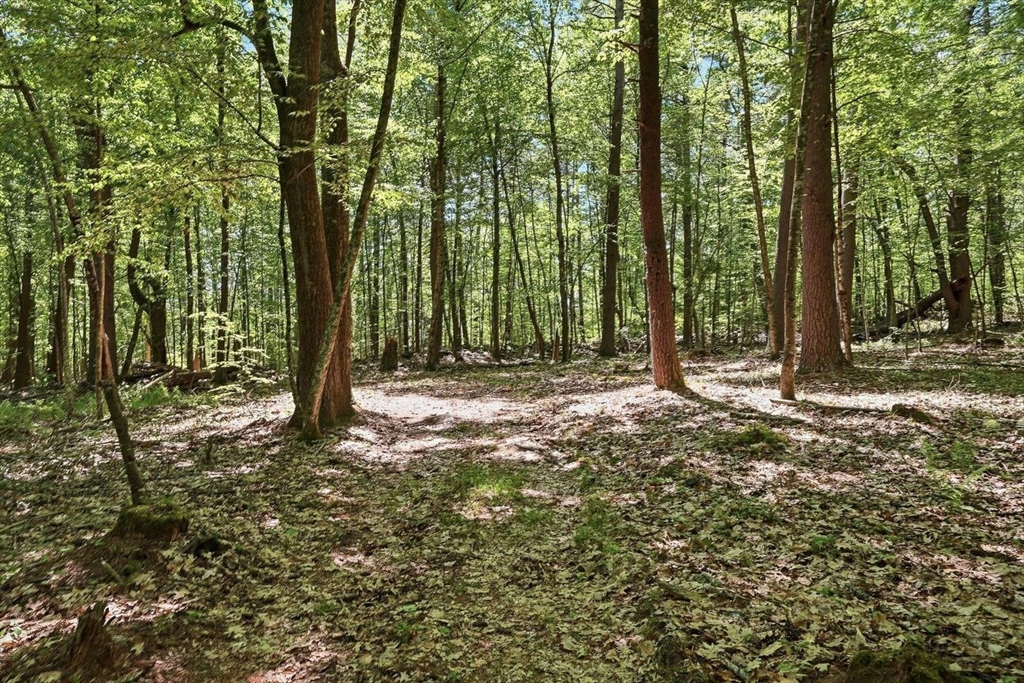 0 Carter Pond Road Property Photo 15