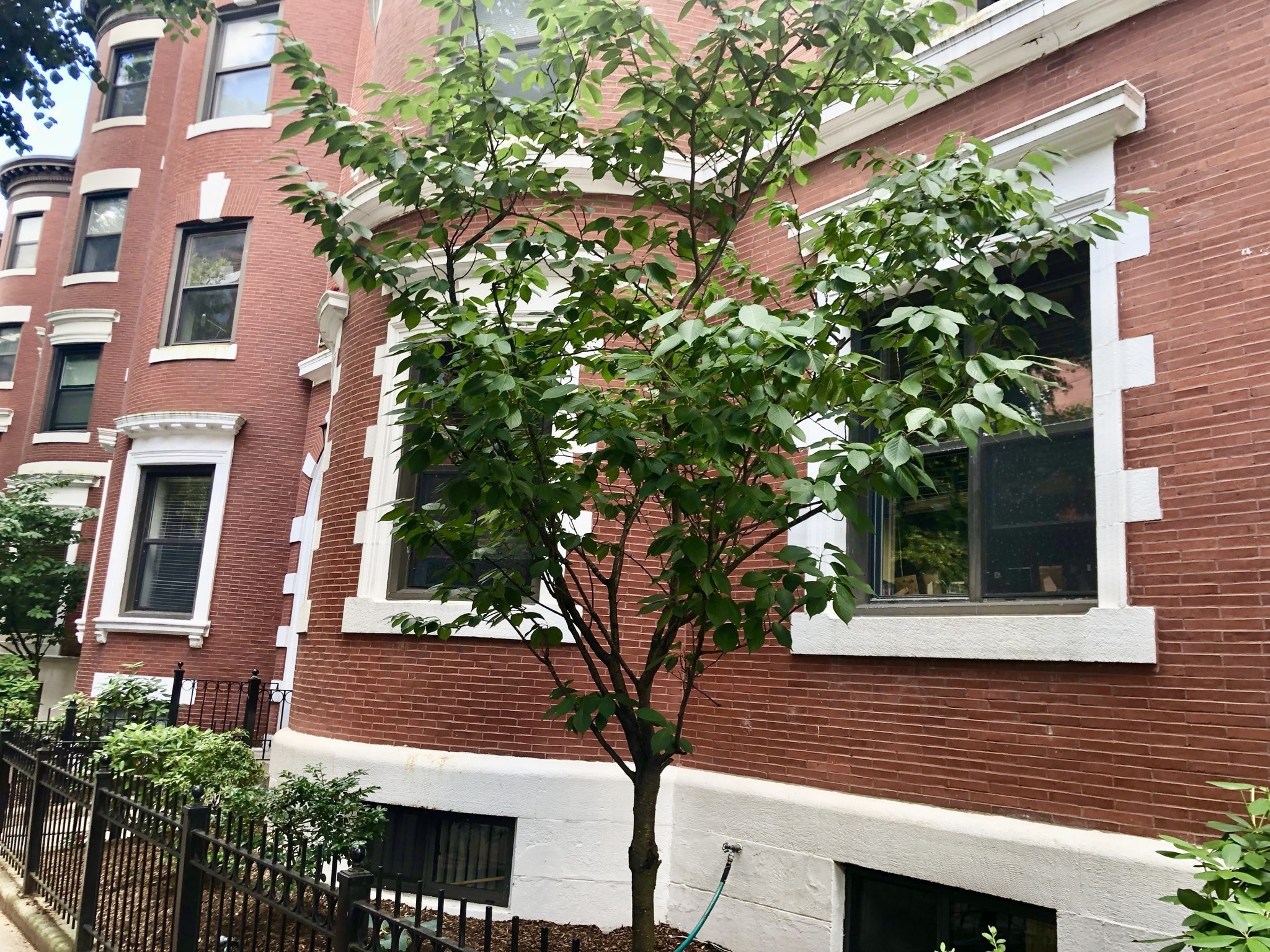 102 Gainsborough St # 402e Property Photo 17