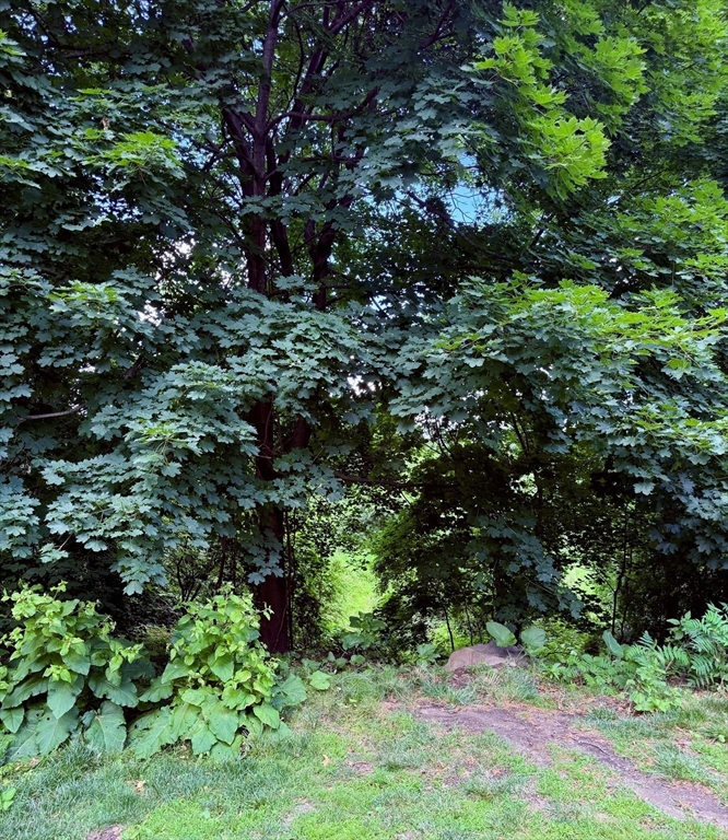 0 Willowdale Property Photo 8