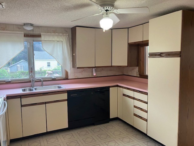 14 Birchwood Road Property Photo 13