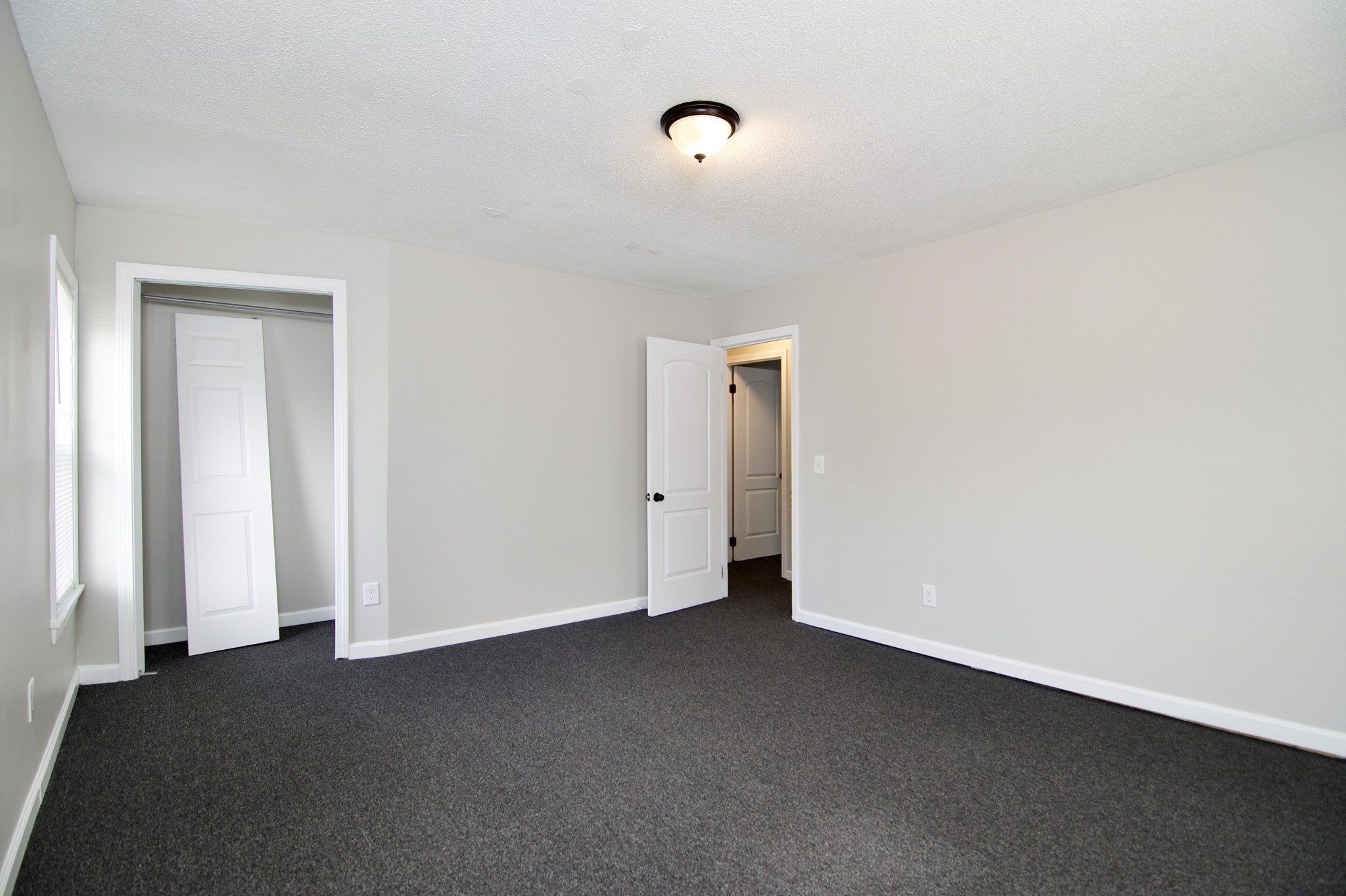 56-58 Grattan St Property Photo 15