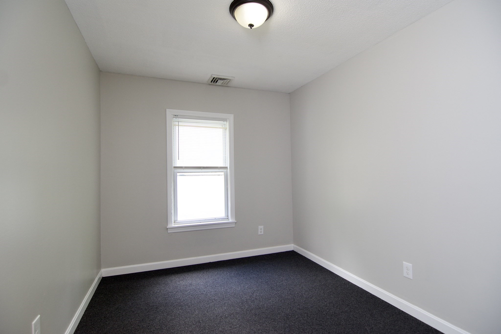 56-58 Grattan St Property Photo 18