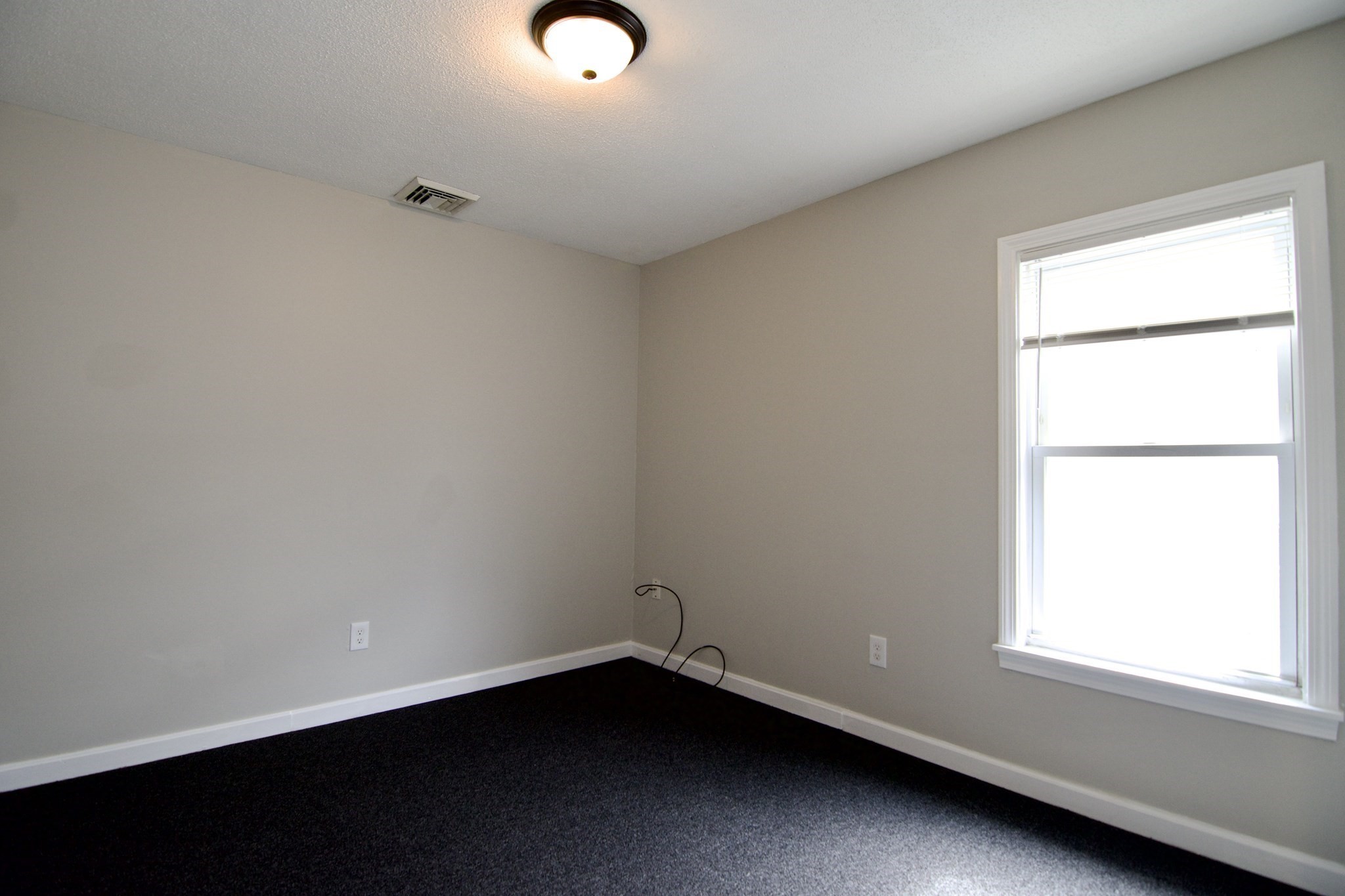56-58 Grattan St Property Photo 21