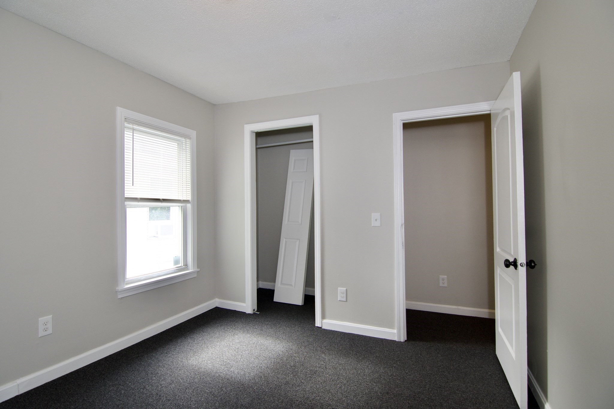 56-58 Grattan St Property Photo 22