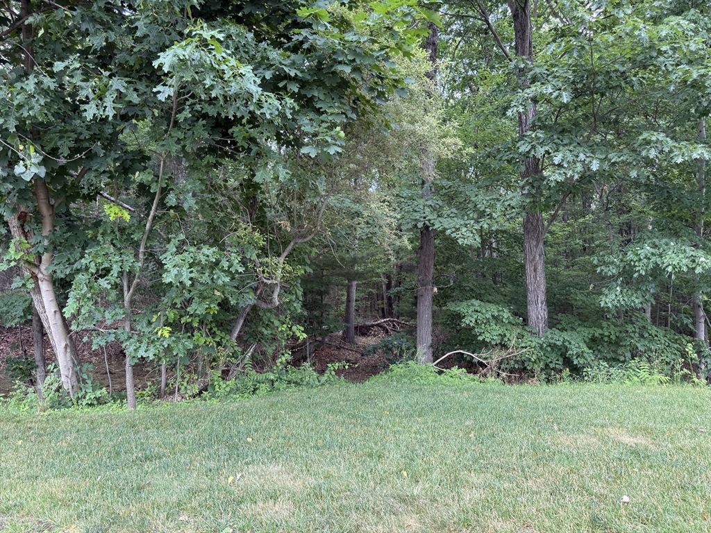 0 Symphony Dr Property Photo 13