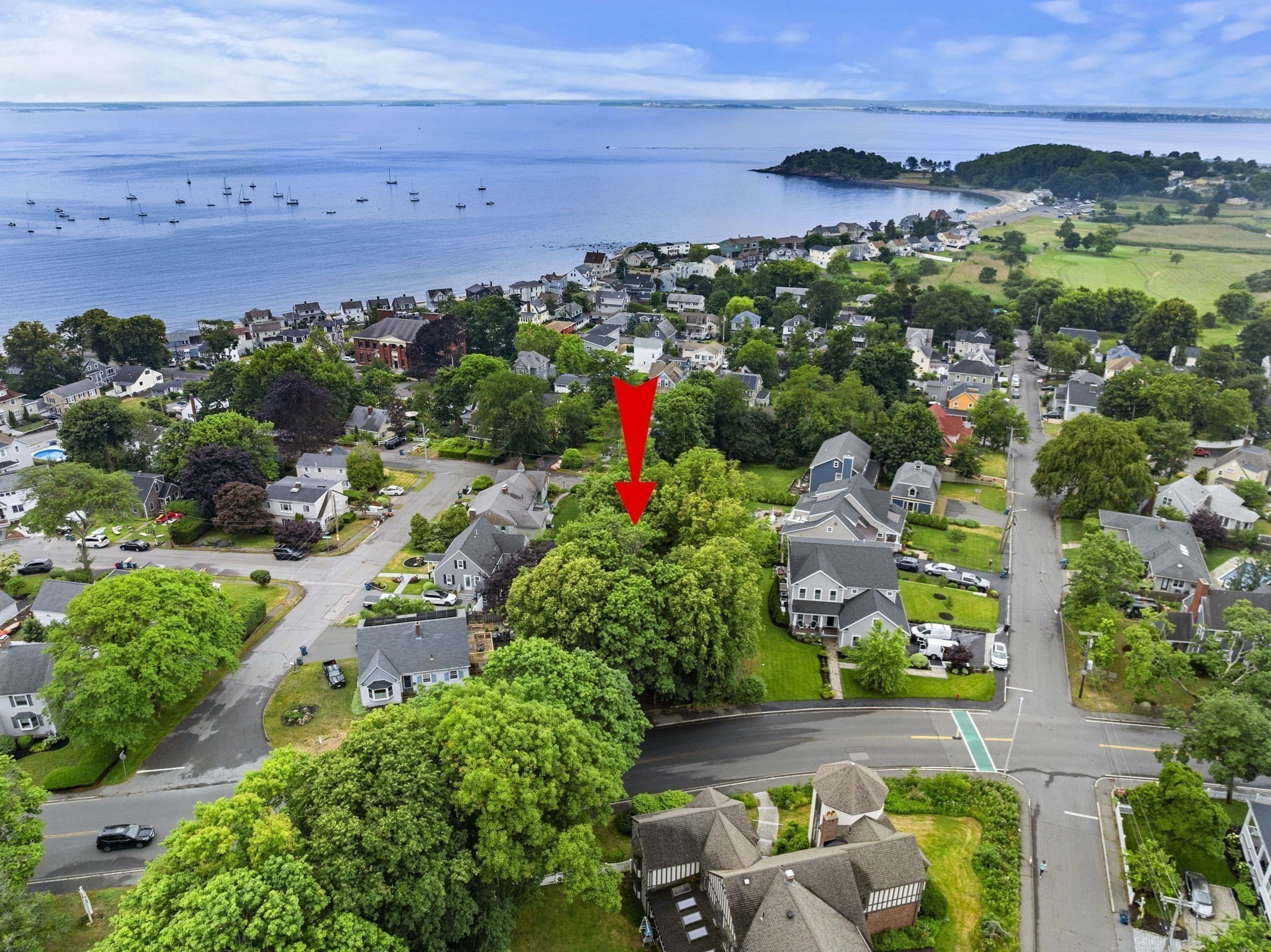 239 Nahant Road Property Photo 5