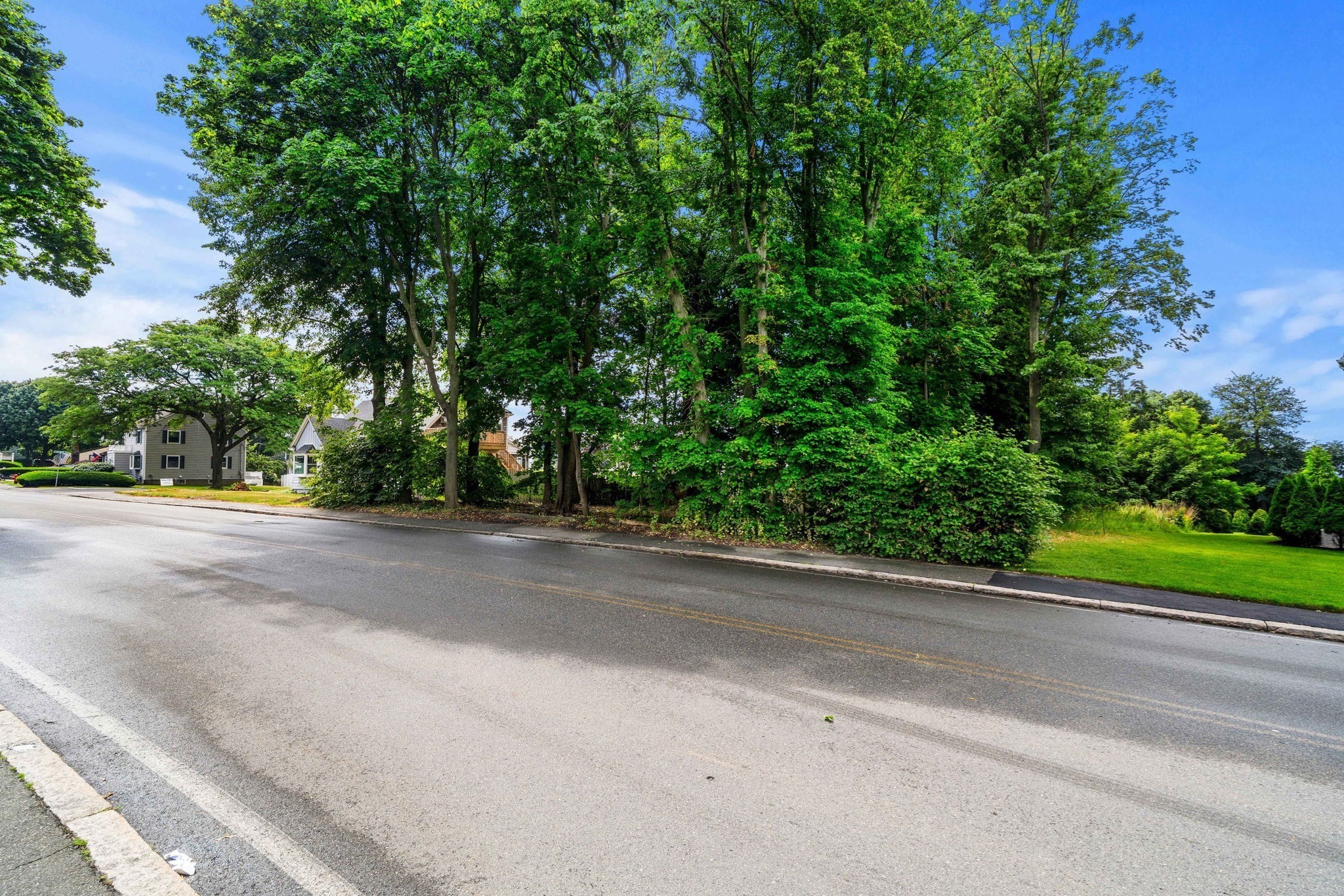 239 Nahant Road Property Photo 11