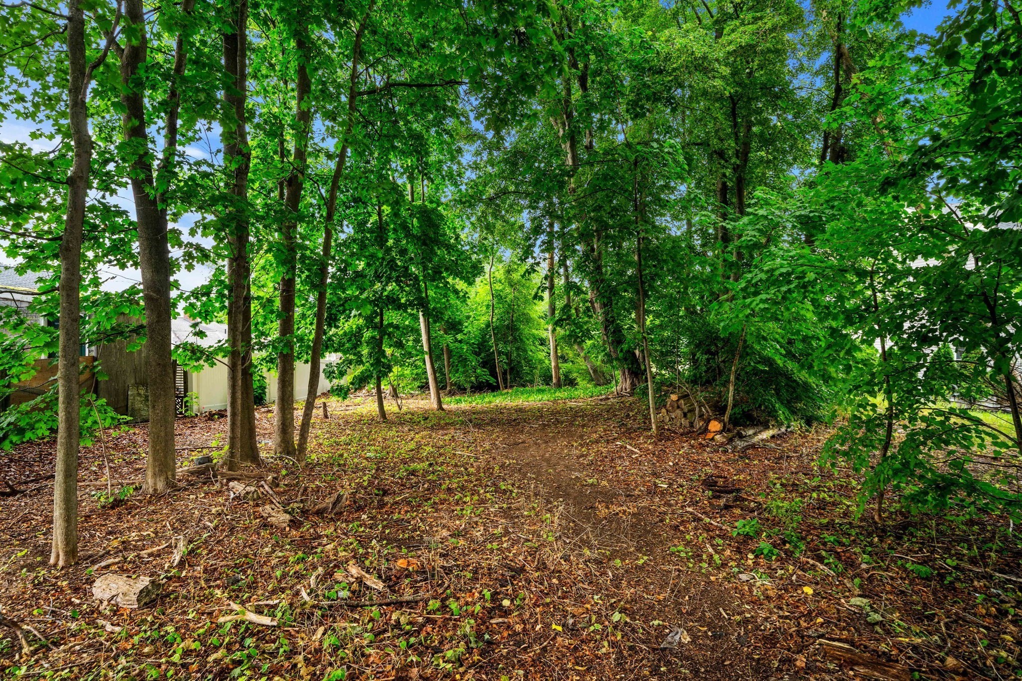 239 Nahant Road Property Photo 13
