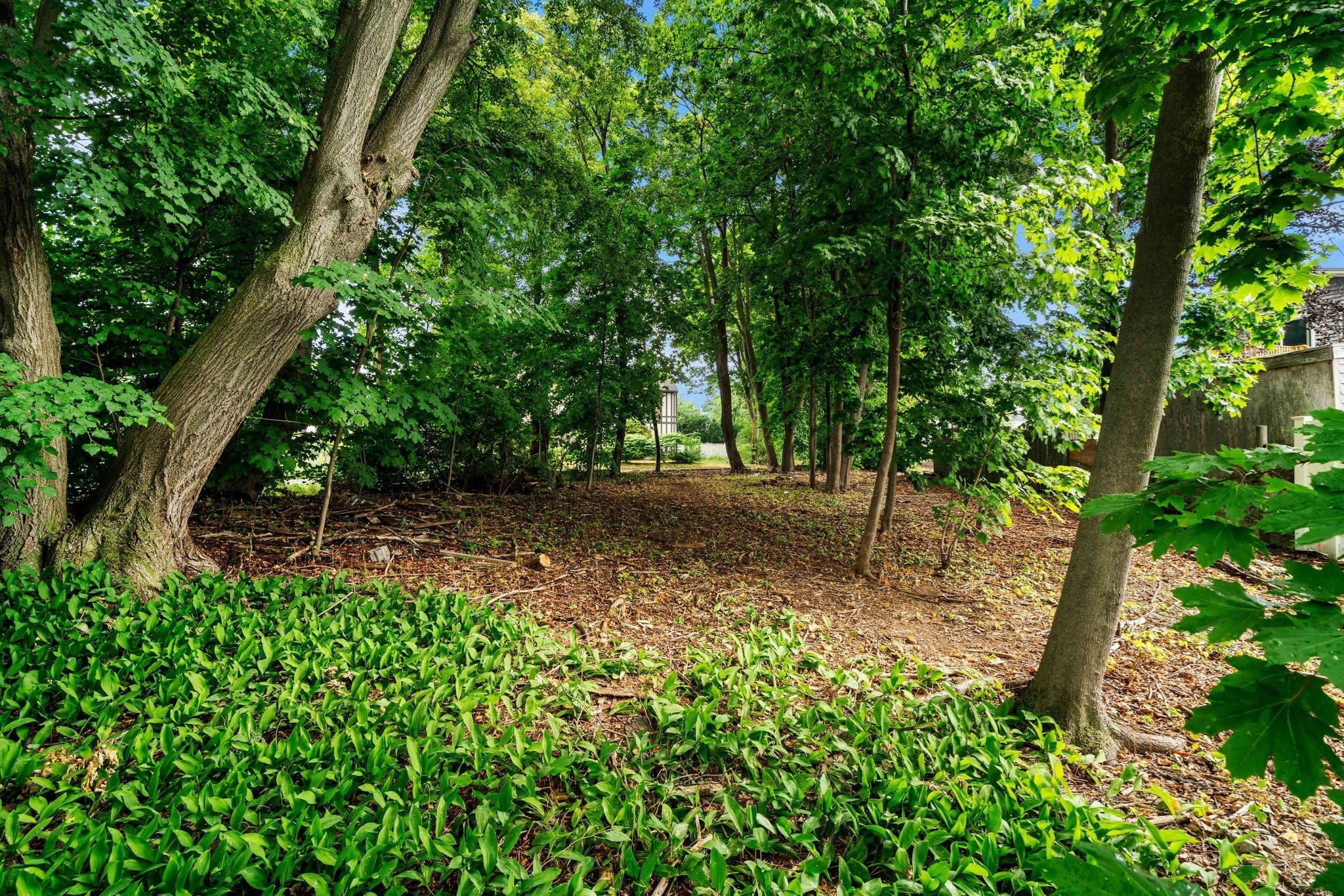 239 Nahant Road Property Photo 14