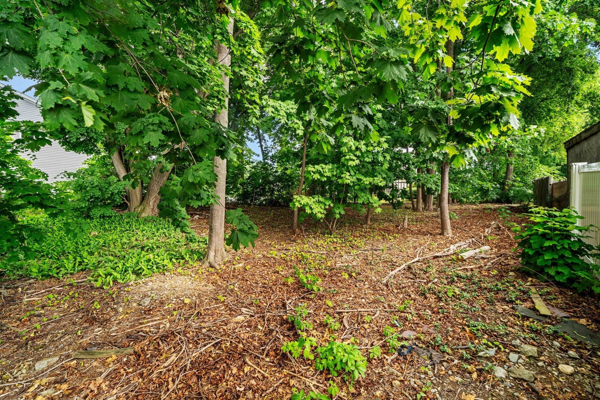 239 Nahant Road Property Photo 15