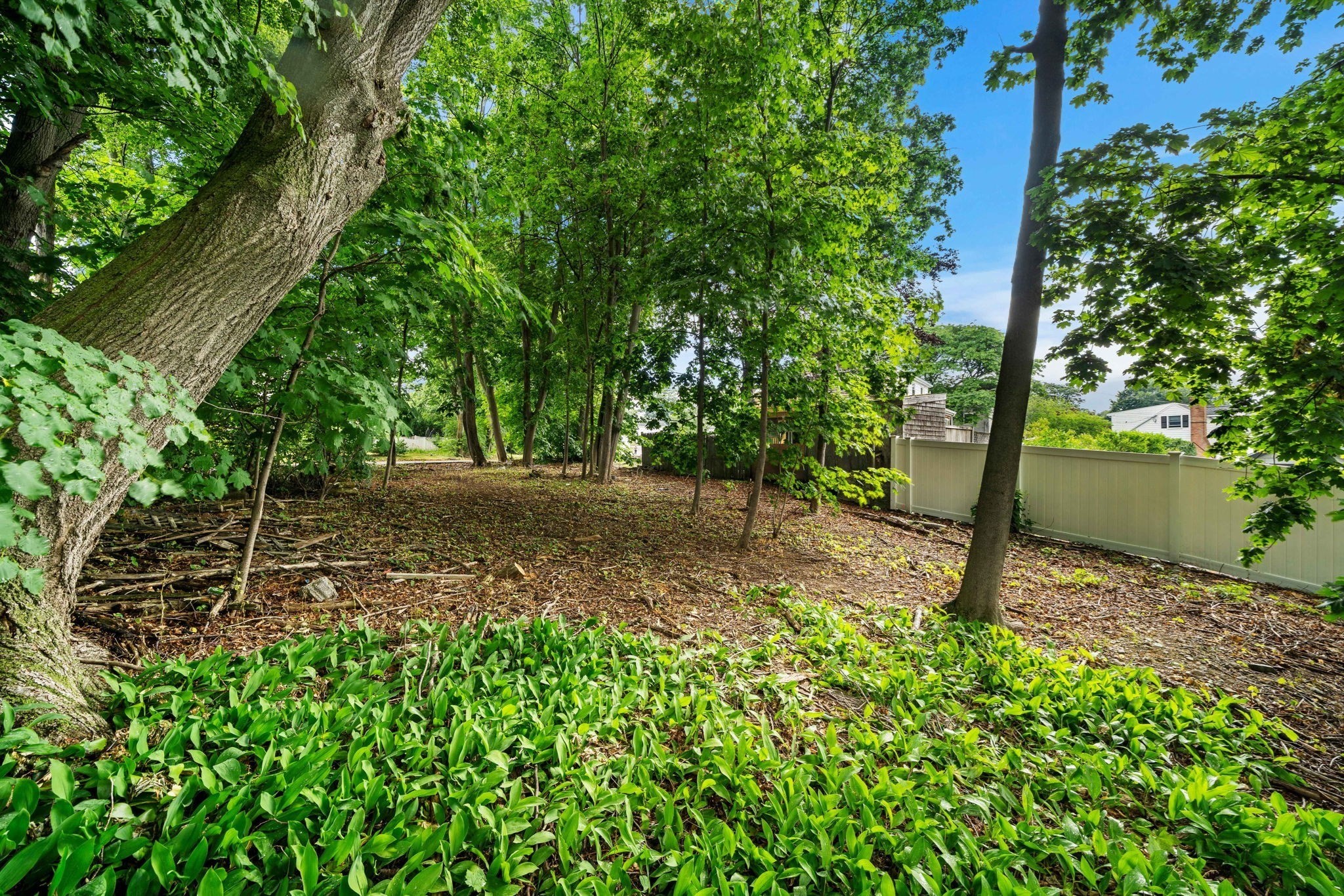 239 Nahant Road Property Photo 16