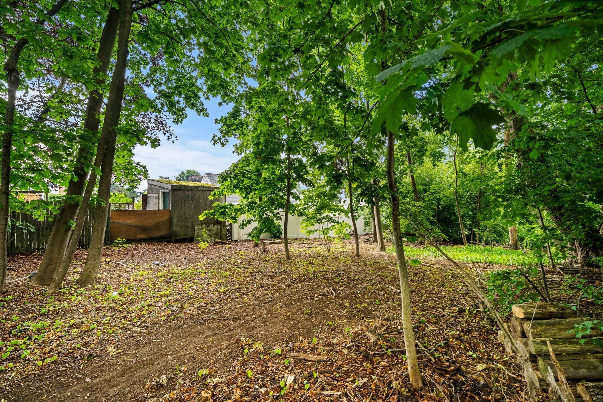 239 Nahant Road Property Photo 17