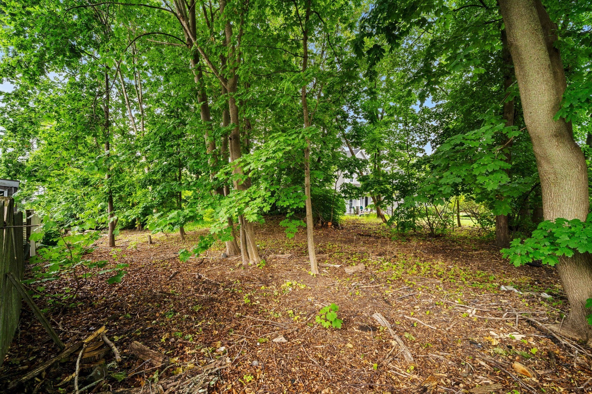 239 Nahant Road Property Photo 18