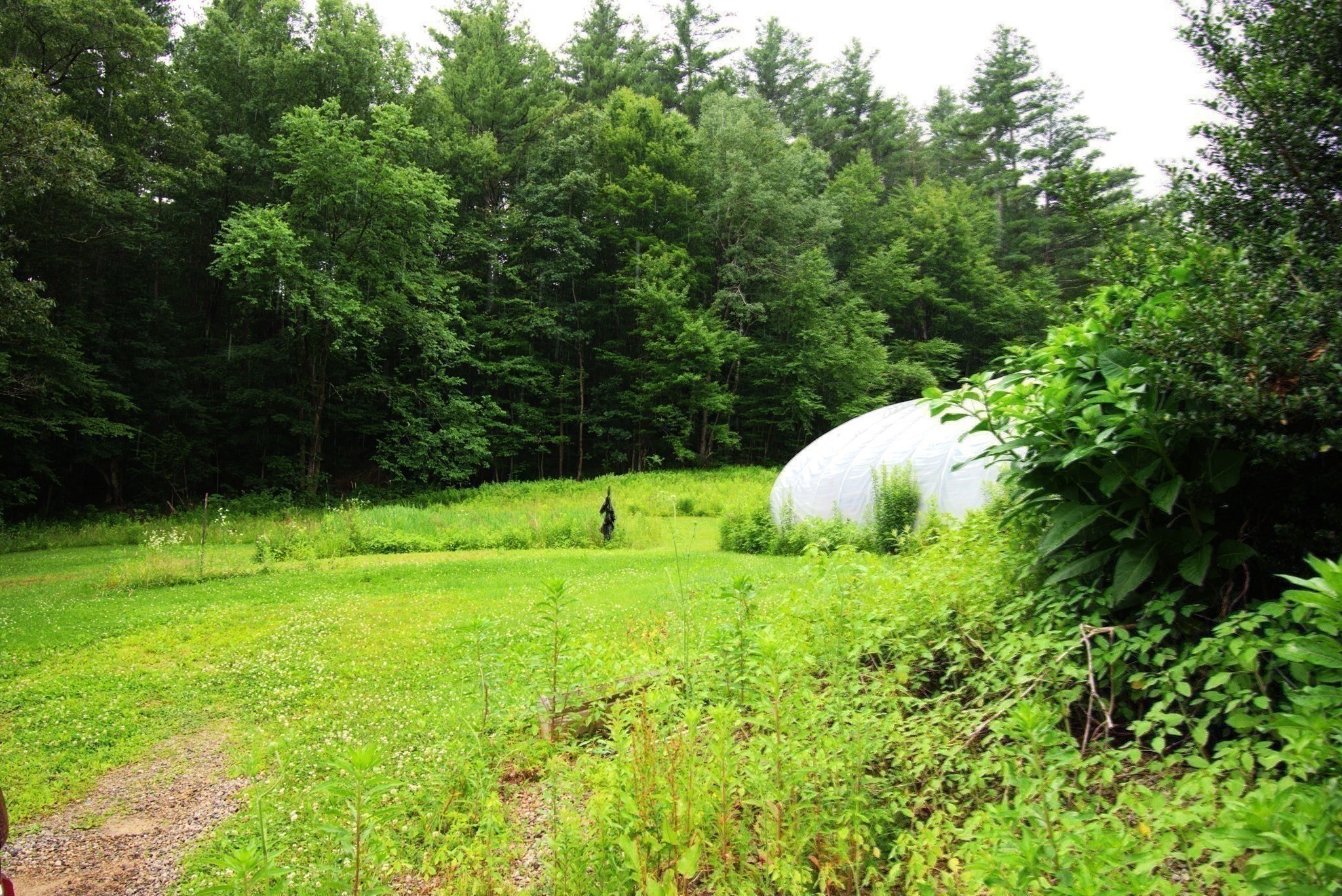 78 Blackmer Rd Property Photo 14