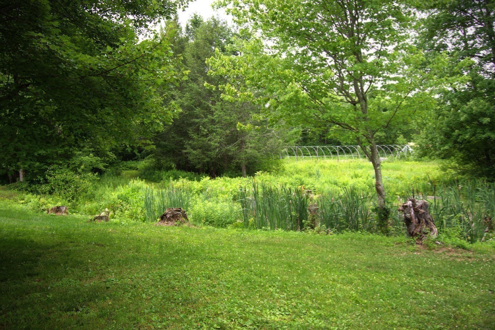 78 Blackmer Rd Property Photo 15