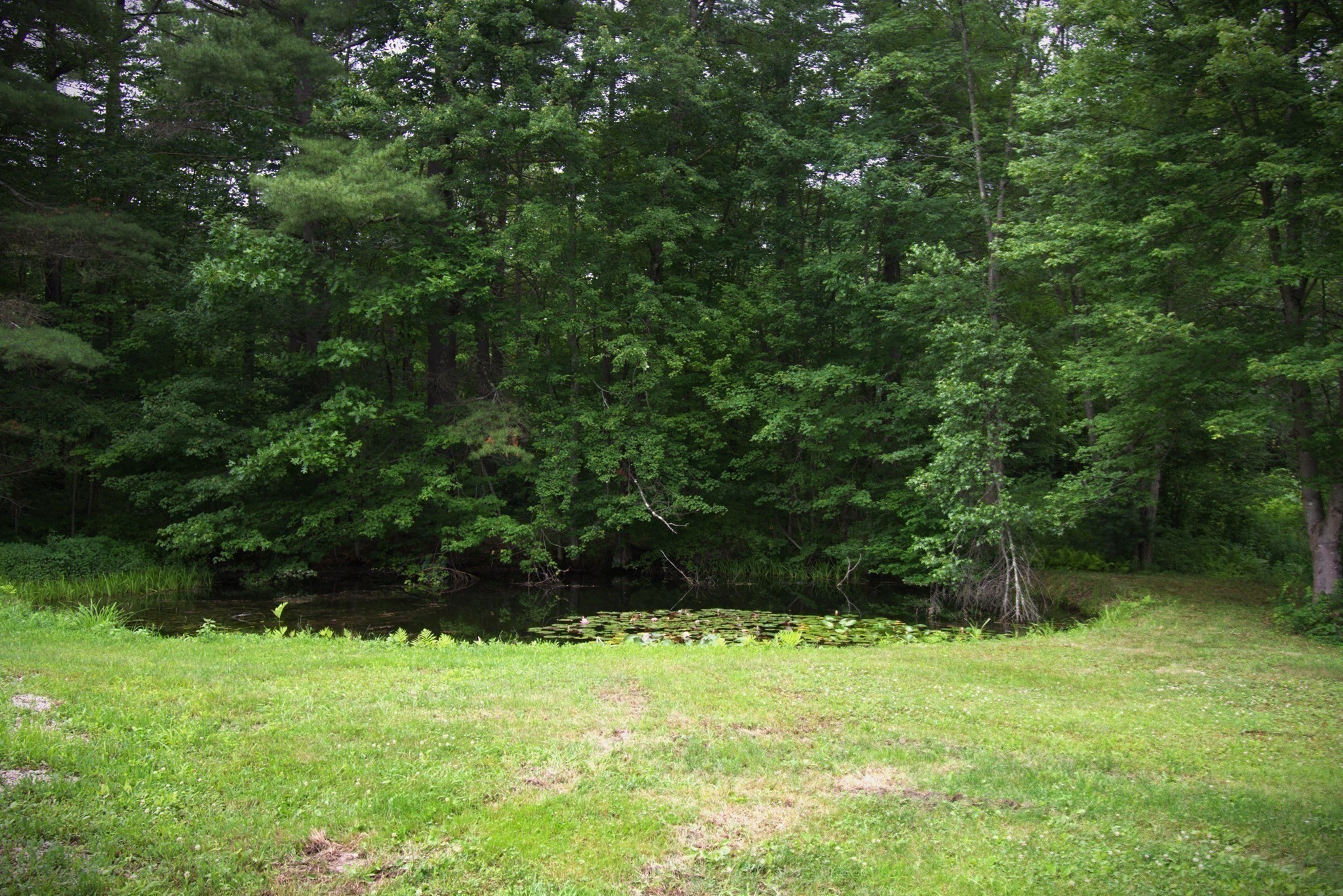 78 Blackmer Rd Property Photo 16