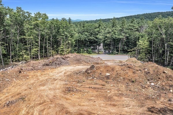 Lot 3 W State Road Property Photo 3