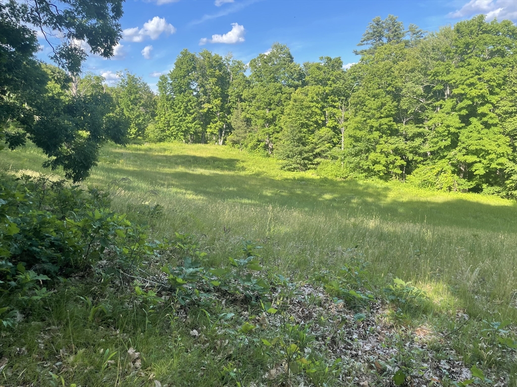 Lot 0 Mason Rd Property Photo 2