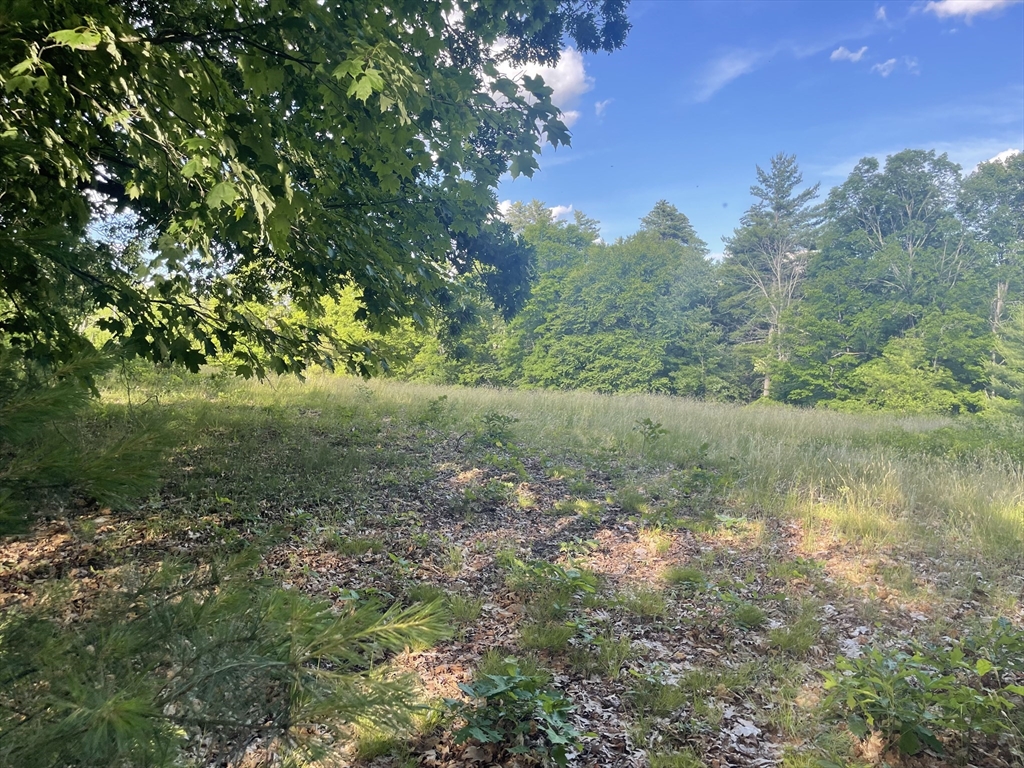 Lot 0 Mason Rd Property Photo 3