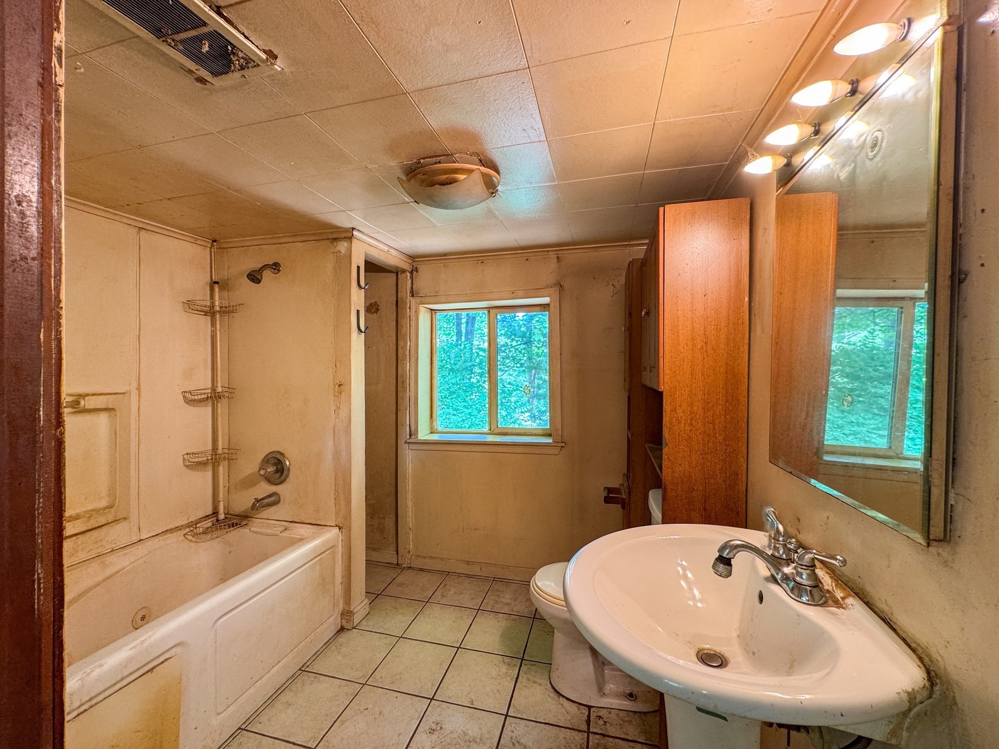 332 Batchelor St Property Photo 22