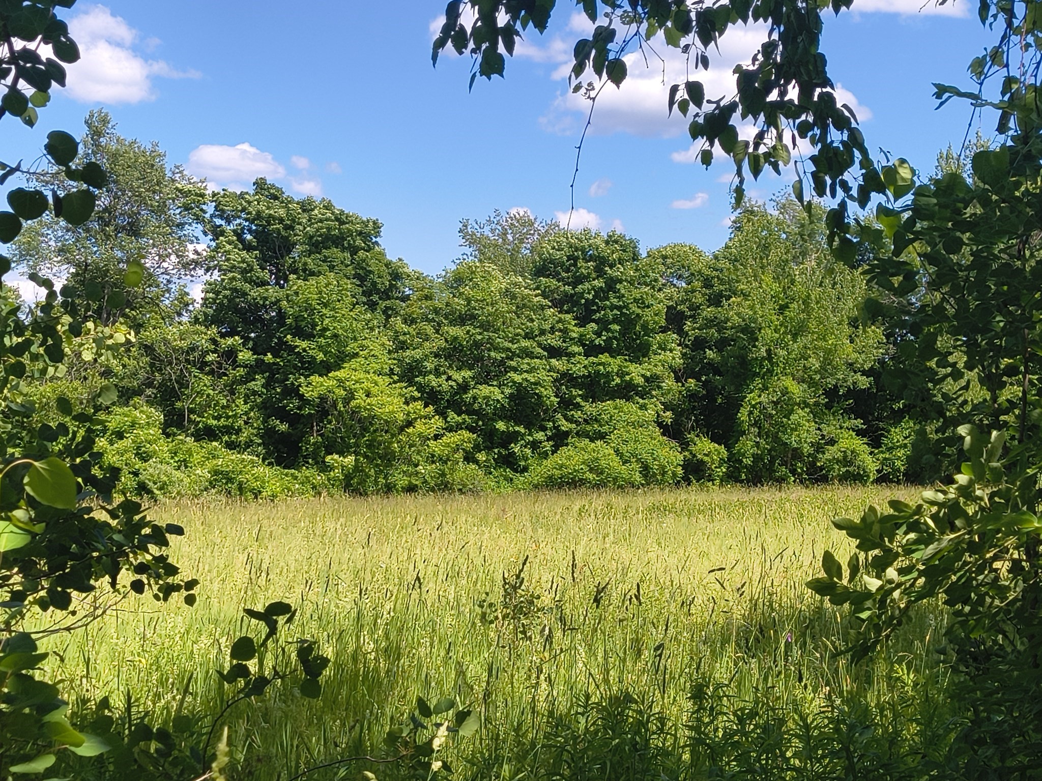 Lot 4 Holcomb Road Property Photo 1