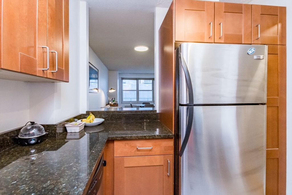 151 Tremont Street # 9b Property Photo 8